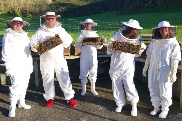 São Miguel: Beekeeping, Honey Tasting & Candle Experience