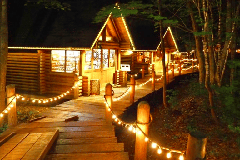 Hokkaido: Furano & Biei 1-Day Tour with Melon & Blue Pond No Melon