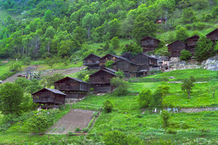 Desde Tokio: excursión de 1 día a Shirakawago y Kanazawa