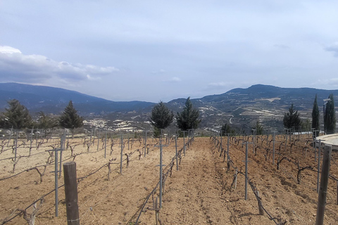 Paphos: Troodos Mountains Villages Tour with Wine Tasting
