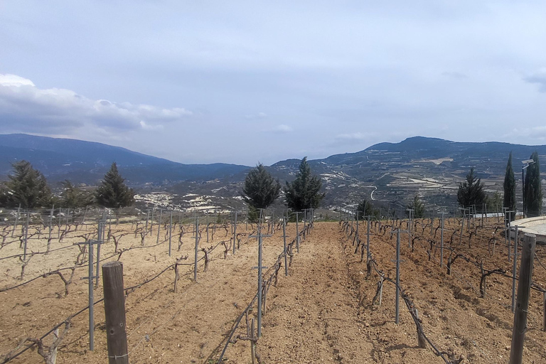 Paphos: Troodos Mountains Villages Tour with Wine Tasting