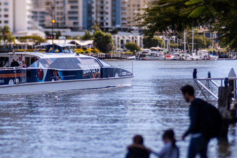 Hop on Hop off - Brisbane City - The Heart of Brisbane Brisbane City Loop + Tamborine Mountain Hop on Hop off