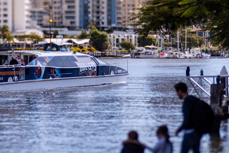 Hop on Hop off - Brisbane City - The Heart of Brisbane Brisbane City Loop + Tamborine Mountain Hop on Hop off