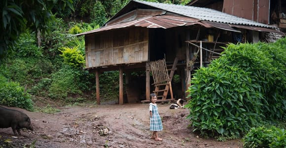 Chiang Mai: Forest Trekking & Visit Hill Tribe Village