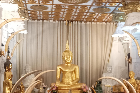 Sigiriya & Dambulla: 13 Attractions with Kandy Drop-Off