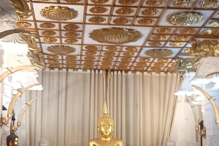 Sigiriya & Dambulla: 13 Attractions with Kandy Drop-Off