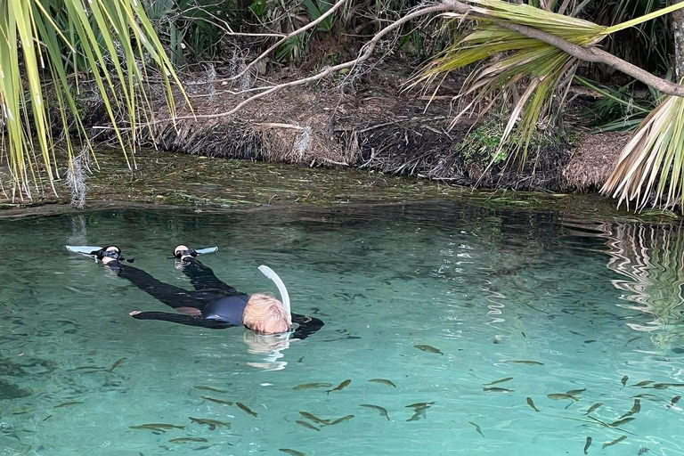 Rainbow River: Clear Kayak Snorkel and Springs Guided Tour