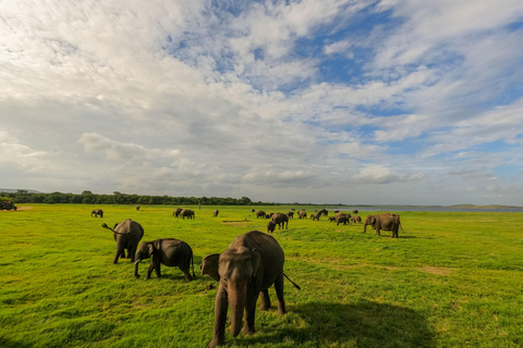 Kaudulla Wildlife & Landscape Photography Expedition