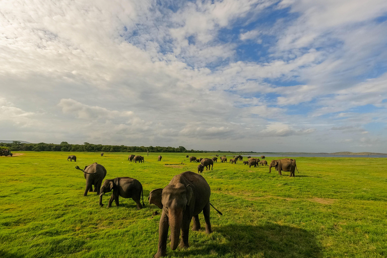 Kaudulla Wildlife & Landscape Photography Expedition