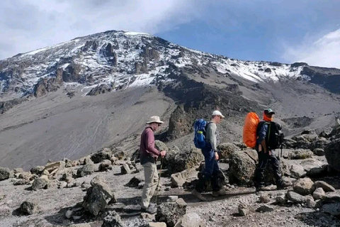 Kilimanjaro: 7-Day Marangu Route Climb with Guide
