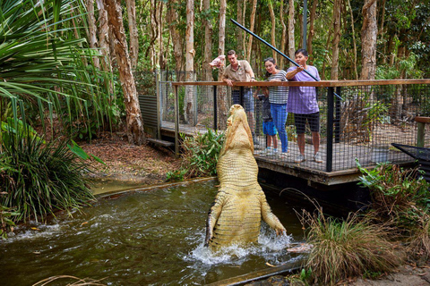 Desde Port Douglas Parque de Cocodrilos de Hartley, Skyrail y Tren