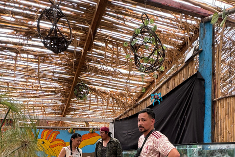 Xochimilco: Sanctuary of the Ajolote Axolotl