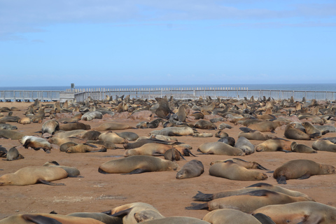 Côte des squelettes : visite guidée de Cape Cross et Henties BayCôte des squelettes : Cape Cross et Henties Bay - Visite guidée