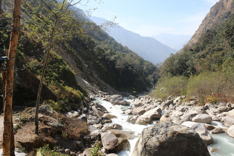 Katmandou : Randonnée de 5 jours dans la vallée de Langtang avec un guideKatmandou : randonnée de 5 jours dans la vallée du Langtang avec un guide