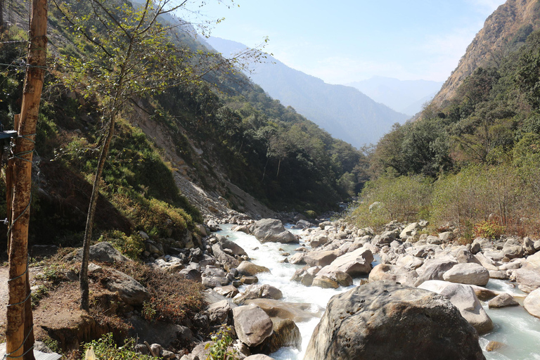 Katmandou : Randonnée de 5 jours dans la vallée de Langtang avec un guideKatmandou : randonnée de 5 jours dans la vallée du Langtang avec un guide