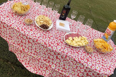 Andes Sunset - Guided Tour from Santiago