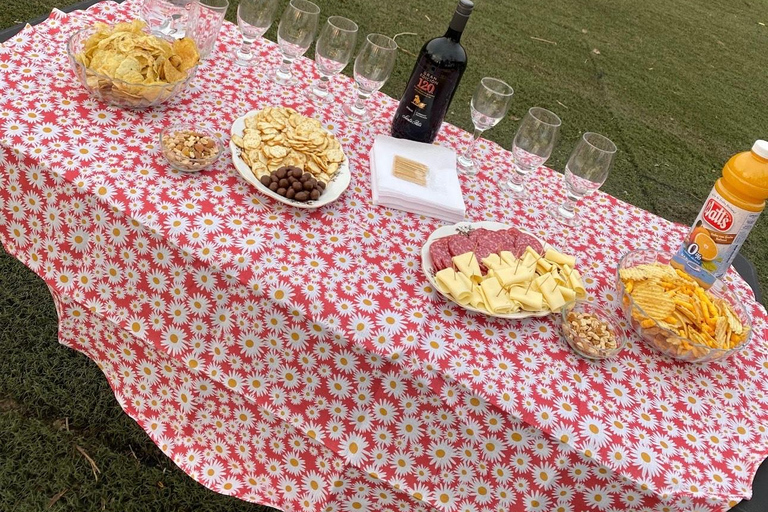 Andes Sunset - Guided Tour from Santiago