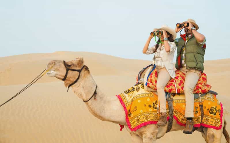 Agadir: Camel Ride Adventure with Flamingo River & mint tea