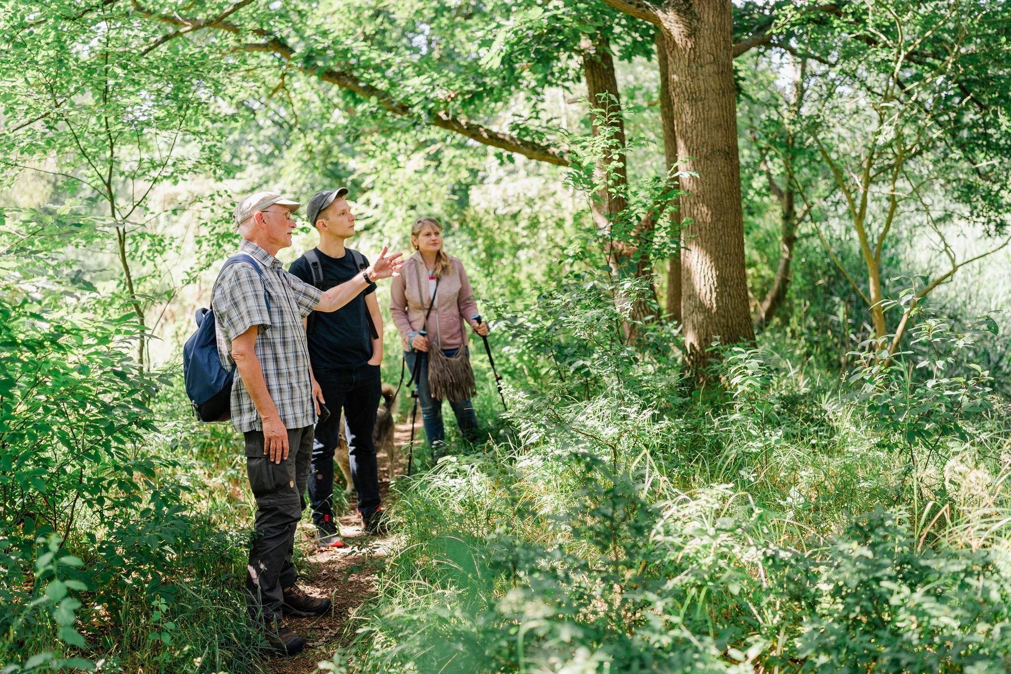 Rostock/Markgrafenheide: Geführte Wanderung durch den Küstenwald