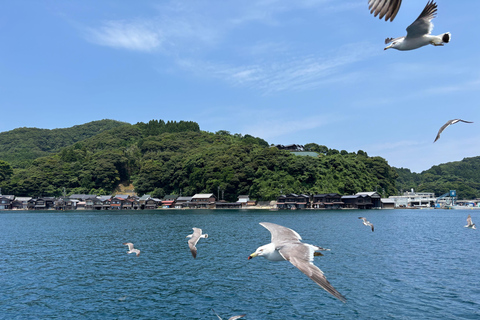 Osaka/Kyoto: Amanohashidate, Ine Bay & Nariaiji Temple Tour From Osaka Meeting Point