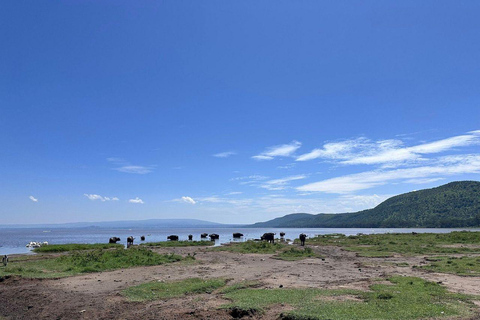 Nairobi: Lake Nakuru National Park and Lake Naivasha Tour