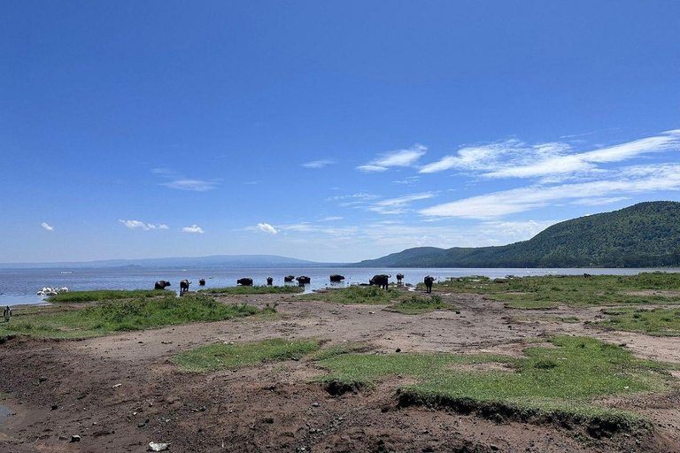 Nairobi: Lake Nakuru National Park and Lake Naivasha Tour