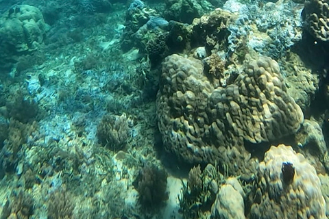 Schnorcheln auf Gili Nanggu, Tangkong, Sudak und Kedis