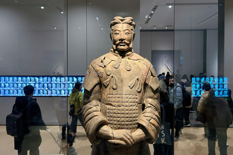 Xi'an: Terracotta Army, City Wall, Pagoda & Family Lunch Private Guided Tour with Lunch and Pickup Anywhere in Xi'an