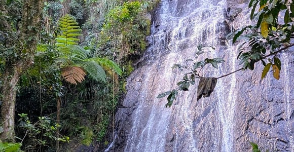 El Yunque: Let me show you my island tour