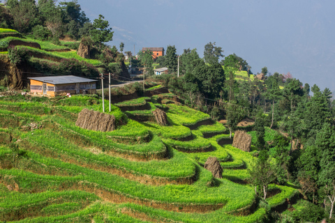 Kathmandu: 3-Day Rice Planting & Village Homestay Tour