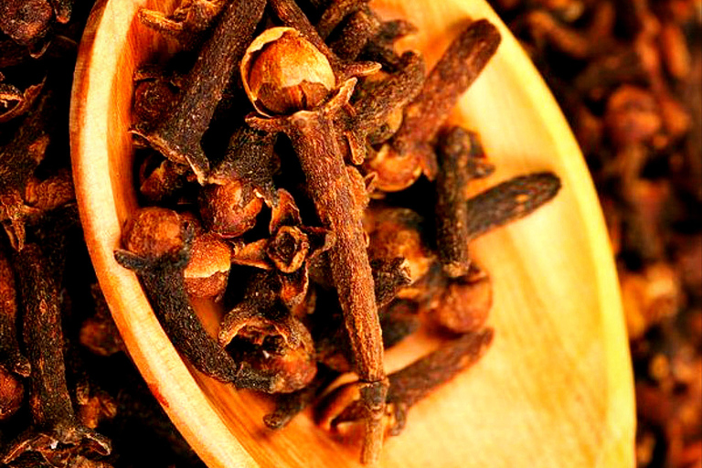 Kandy city tour and village tour in one day