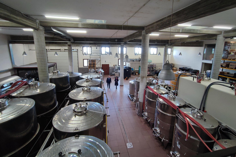 Dégustation de vins sur le versant sud de l'Etna