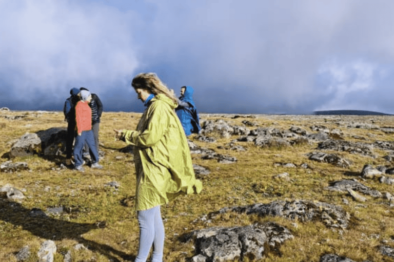 Addis Ababa: 6-Day Abijata Shalla NP & Bale Mountains Tour