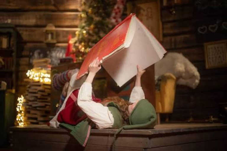 Rovaniemi: SantaPark All-Day Adventure with Lunch