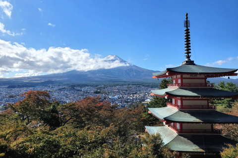 Mount Fuji & Hakone Full-Day Private Tour (Customizable) Hakone & Mount Fuji Tour w/English speaking guide