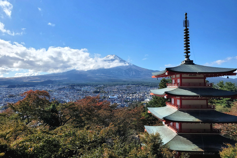 Mount Fuji & Hakone Full-Day Private Tour (Customizable) Hakone & Mount Fuji Tour w/English speaking guide