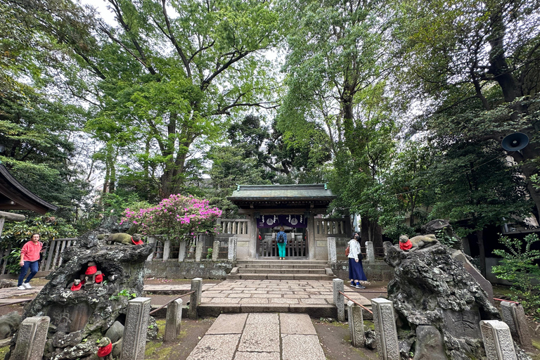 Tradycyjne stare miasto w Tokio - Yanaka, Nezu i Ueno SakuragiTokio : Stare tradycyjne miasto~Yanaka,Nezu&amp;Ueno Sakuragi