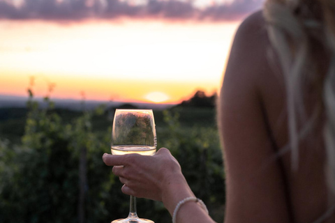 Alicante: Private Sunset Countryside Wine Tasting + Transfer