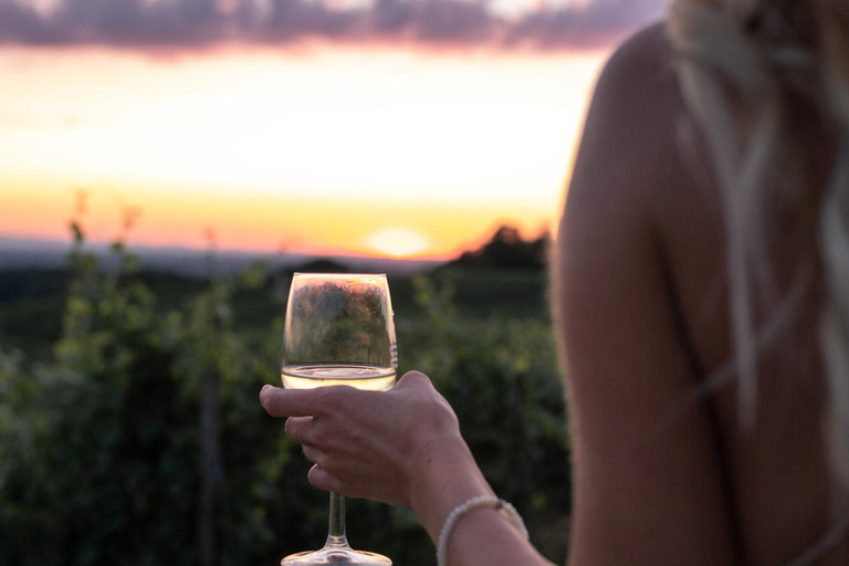 Alicante: Private Sunset Countryside Wine Tasting + Transfer