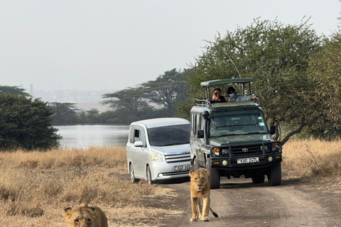 Nairobi Park Safari, Sheldrick's Orphanage & Giraffe Center Shared Drive in Open-Roof Van Game Drive