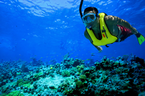 Marathon: Sombrero Reef Snorkeling Tour
