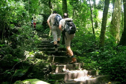 De beste gemakkelijke trektocht door het nationale park Cuc Phuong