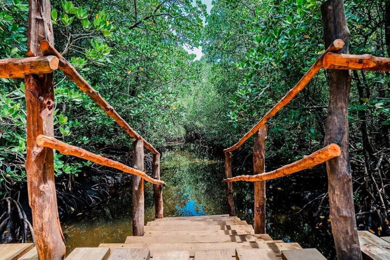 Zanzibar: tour di mezza giornata alla scoperta delle scimmie della foresta di Jozani