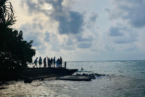 Galle Fort, Mask Museum, and Turtle Hatchery Day Trip