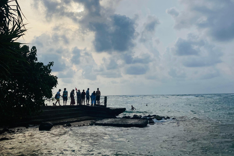 Galle Fort, Mask Museum, and Turtle Hatchery Day Trip