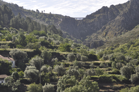 Paseo por la naturaleza de Guarda: Relatos de las Pasarelas del Mondego