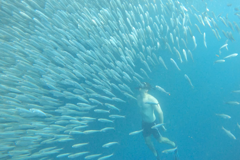 Cebu: Snorkeling em Sardine Run, Cataratas de Mantayupan e emoções de ATV