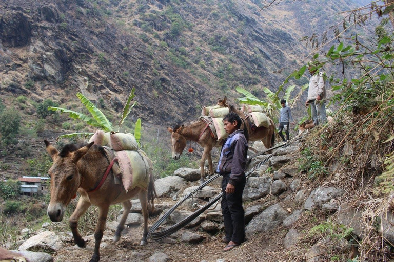 Kathmandu: 9-daagse Epische Annapurna Circuit Trek via Thorong LaVolledig pakket: Inclusief maaltijden, accommodatie en vergunningen