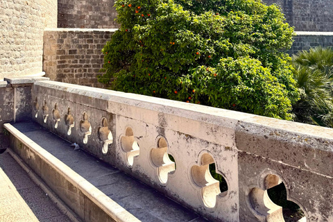 Dubrovnik: Old Town Walking Tour