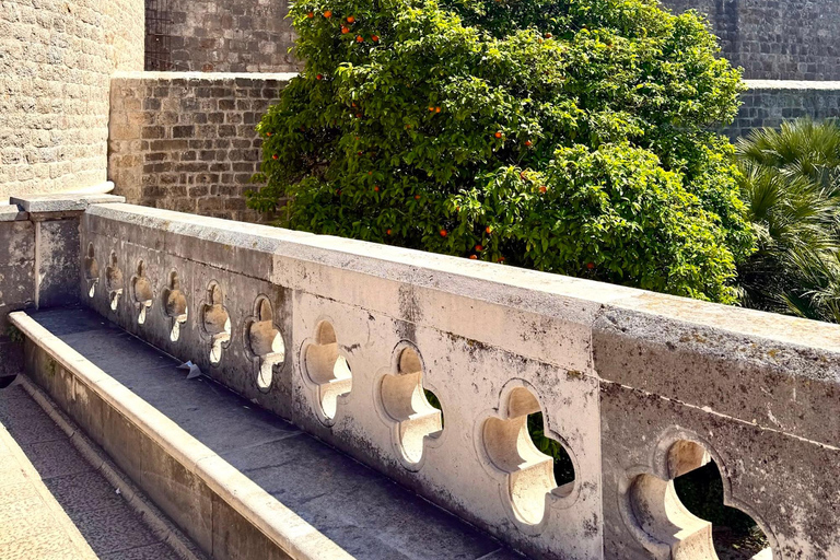 Dubrovnik: Old Town Walking Tour